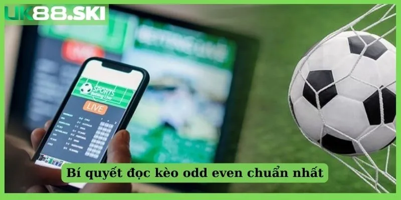 Bí quyết đọc kèo chẵn lẻ chuẩn nhất