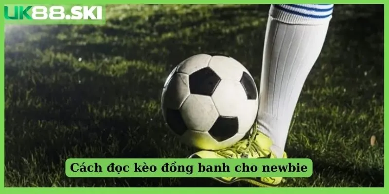 Cách đọc kèo đồng banh cho newbie