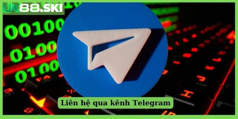 Liên hệ qua kênh Telegram