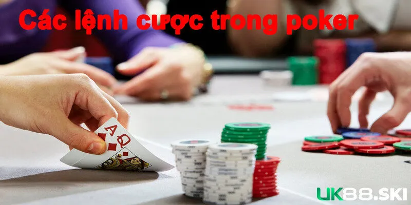 Các lệnh cược được chọn khi chơi poker