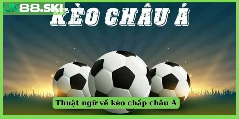 Thuật ngữ về kèo chấp châu Á