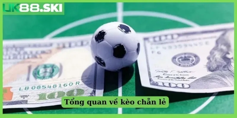 Tổng quan về kèo chẵn lẻ