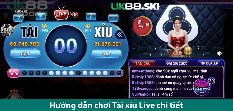 Tài xỉu Live là gì? Hướng dẫn chơi đúng cách cho bet thủ