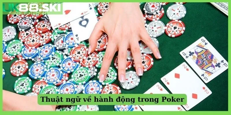 Thuật ngữ về hành động trong Poker