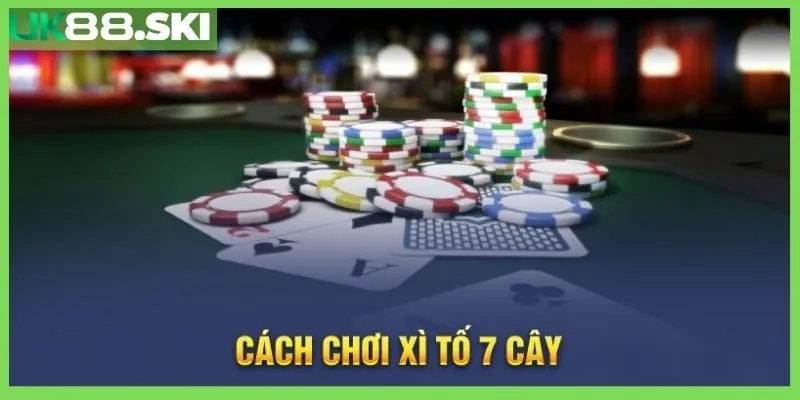 Thuật ngữ bài xì tố 7 cây cho newbie